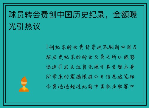 球员转会费创中国历史纪录，金额曝光引热议